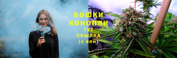 PSILOCYBIN Белоозёрский