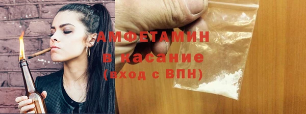 индика Беломорск