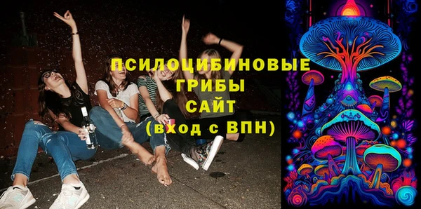 крисы Тайга