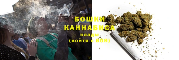 PSILOCYBIN Белоозёрский