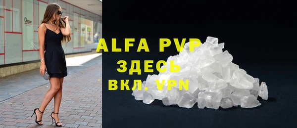 индика Беломорск