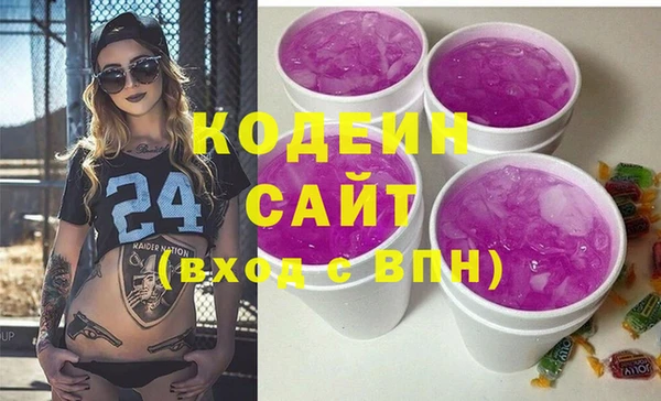 индика Беломорск