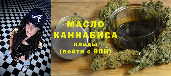 индика Беломорск