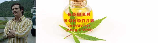 ECSTASY Белокуриха