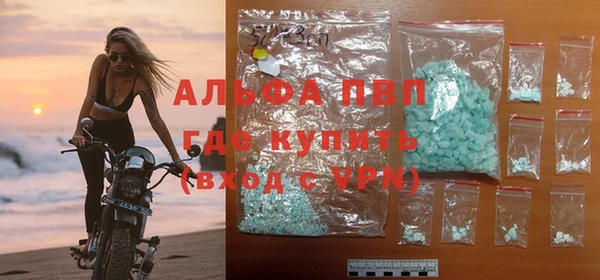 ECSTASY Белокуриха