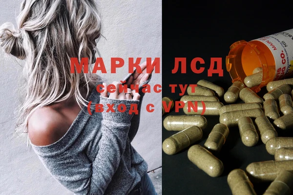 индика Беломорск