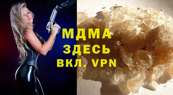 индика Беломорск