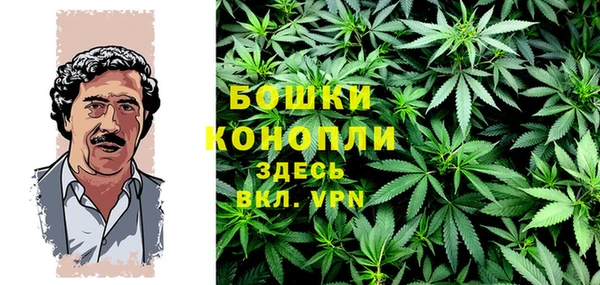 spice Сясьстрой