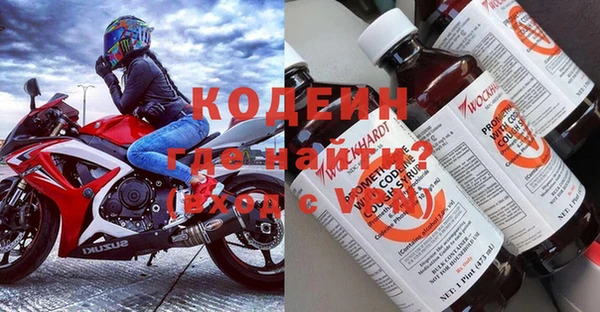 ECSTASY Белокуриха
