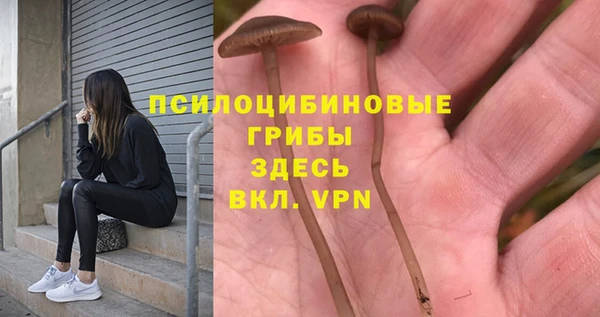 ECSTASY Белокуриха