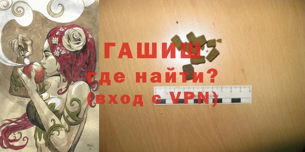 индика Беломорск